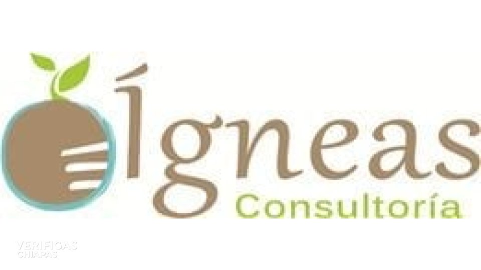 Igneas Consultoria Verifigas Chiapas